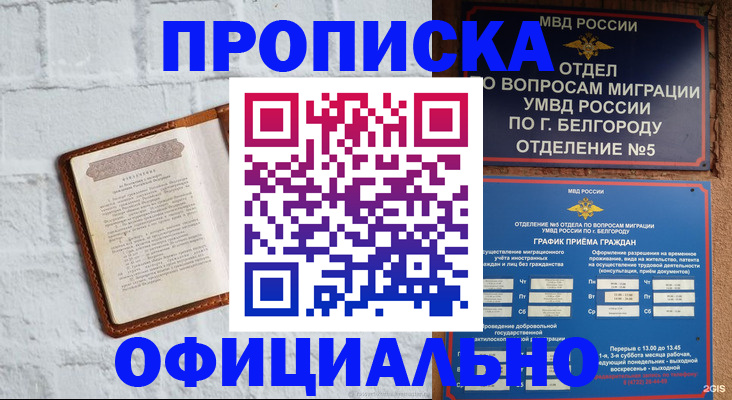 временная регистрация для школы в Черноголовке